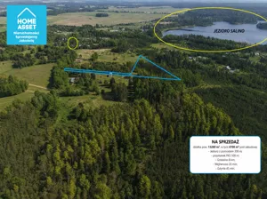 Działka 13 280,00 m², Salinko, Złota, Sprzedaż