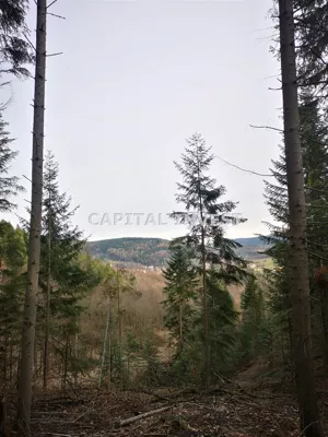 Działka 7 300,00 m², Andrychów, Sprzedaż