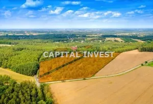 Działka 33 031,00 m², Dłutów, Sprzedaż