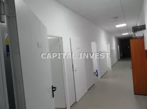Działka 6 500,00 m², Sochaczew, Sprzedaż