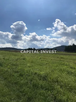 Działka 20 000,00 m², Wadowice, Sprzedaż