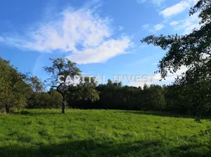Działka 2 900,00 m², Wieprz, Sprzedaż