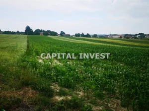 Działka 800,00 m², Wieprz, Sprzedaż