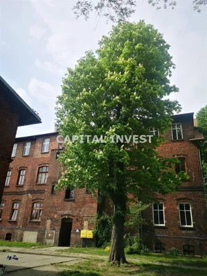 Obiekt 1 010,00 m², Zabrze, Sprzedaż