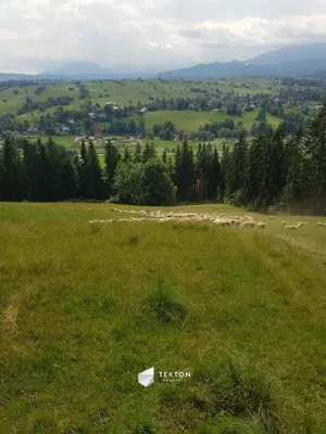 Działka 2 937,00 m², Zakopane, Łosiówki, Sprzedaż