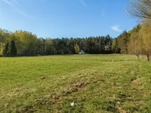 Działka 3 000,00 m², Czapielsk, Przebiśniegowa, Sprzedaż