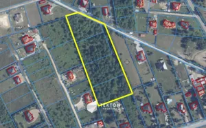 Działka 13 971,00 m², Rosanów, Sprzedaż