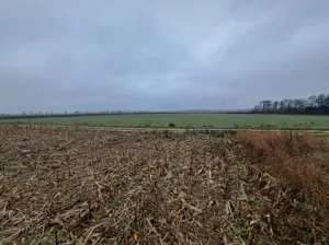 Działka 3 326,00 m², Złotniki, J. Kochanowskiego, Sprzedaż