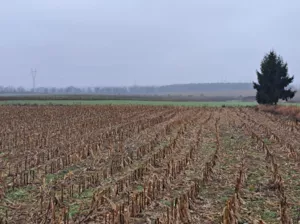 Działka 2 217,00 m², Złotniki, Kochonowskiego, Sprzedaż