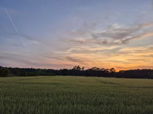 Działka 1 076,00 m², Kliny, Miła, Sprzedaż