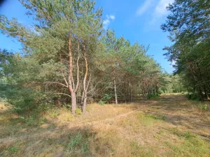 Działka 1 298,00 m², Stęszewko, Wiejska, Sprzedaż