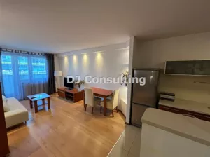 Mieszkanie dwupokojowe 50,00 m², Warszawa, Wola, Łucka, Wynajem