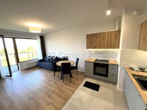 Mieszkanie dwupokojowe 42,00 m², Warszawa, Wola, Ludwiki, Wynajem