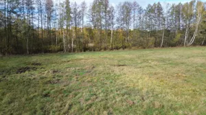 Działka 1 100,00 m², Biały Ług, Sprzedaż