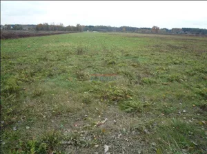 Działka 1 303,00 m², Kąty, Sprzedaż