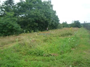 Działka 1 000,00 m², Sierzchów, Sprzedaż
