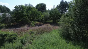 Działka 1 672,00 m², Sierzchów, Sprzedaż