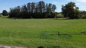 Działka 3 002,00 m², Wola Wągrodzka, Sprzedaż