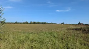 Działka 1 468,00 m², Wola Wągrodzka, Sprzedaż
