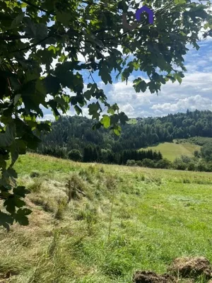 Działka 1 154,00 m², Istebna, Sprzedaż