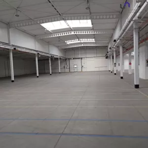 Magazyn 1 242,00 m², Katowice, Koszutka, Wynajem