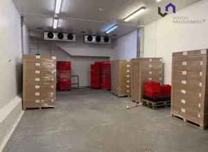 Magazyn 997,00 m², Mysłowice, Wynajem