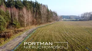 Działka 3 000,00 m², Głupianka, Sprzedaż