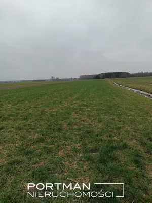 Działka 17 800,00 m², Lasomin, Sprzedaż