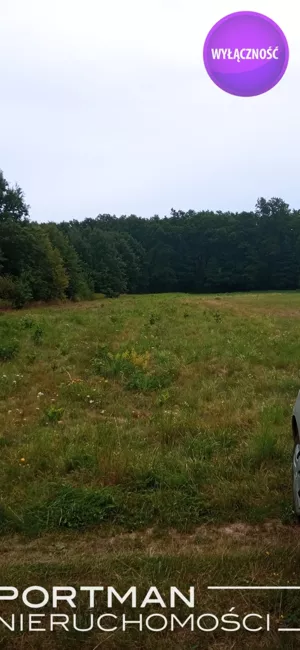 Działka 2 770,00 m², Sobienie Kiełczewskie Drugie, Sprzedaż