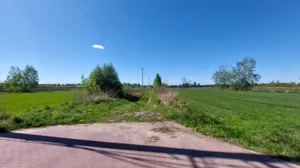 Działka 3 000,00 m², Dybów-Kolonia, Wynajem