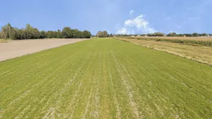 Działka 1 256,00 m², Kampinos A, Sprzedaż