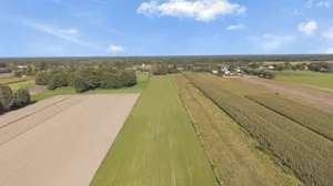 Działka 1 137,00 m², Kampinos A, Sprzedaż