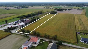 Działka 11 800,00 m², Nowy Reczyn, Sprzedaż