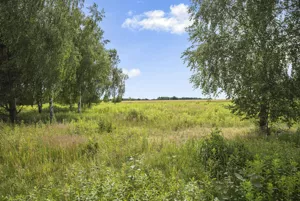 Działka 3 000,00 m², Proboszczewice, Sprzedaż
