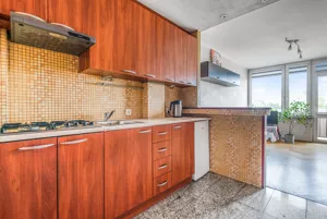 Mieszkanie jednopokojowe 25,09 m², Warszawa, Praga Północ, Karola Darwina, Sprzedaż