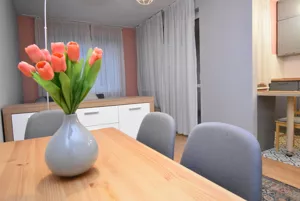 Mieszkanie jednopokojowe 38,00 m², Warszawa, Bielany, Heroldów, Wynajem