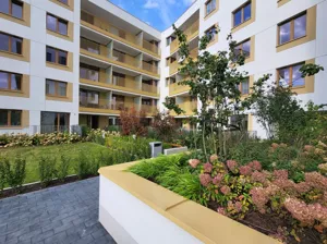 Mieszkanie jednopokojowe 38,00 m², Warszawa, Białołęka, Morelowa, Wynajem