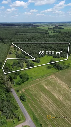 Działka 65 826,00 m², Wójcice, Sprzedaż