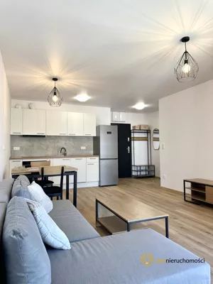 Mieszkanie dwupokojowe 42,00 m², Wrocław, Nadodrze, Władysława Reymonta, Wynajem
