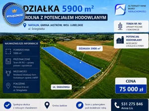 Działka 5 900,00 m², Jastków, Sprzedaż
