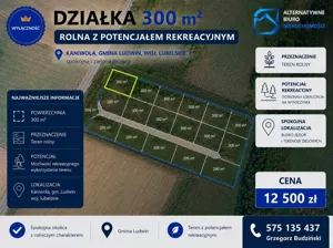 Działka 300,00 m², Ludwin, Sprzedaż