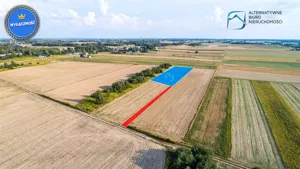 Działka 4 193,00 m², Niemce, Sprzedaż