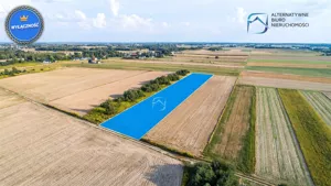 Działka 7 700,00 m², Niemce, Sprzedaż