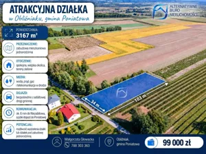 Działka 3 167,00 m², Poniatowa, Sprzedaż