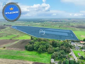 Działka 230 289,00 m², Rachanie, Sprzedaż