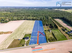 Działka 1 317,00 m², Spiczyn, Sprzedaż