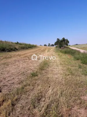 Działka 4 153,00 m², Goszczyno, Sprzedaż