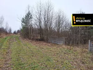 Działka 11 200,00 m², Czerwona Górka, Sprzedaż