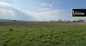 Działka 5 093,00 m², Dzimierz, Sprzedaż