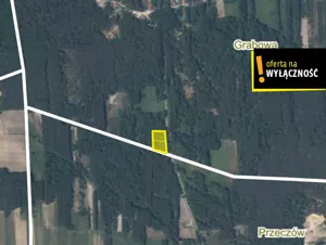 Działka 3 209,00 m², Grabowa, Sprzedaż